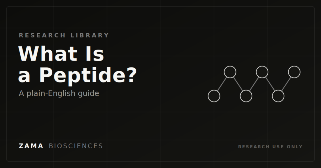 What is a peptide plain-English guide featured graphic with an amino acid chain motif, Zama Biosciences research library